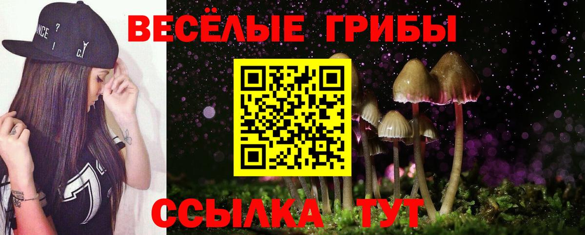 Елец  Галлюциногенные грибы прущие грибы  Вход с VPN  Псилоцибиновые грибы Cubensis 